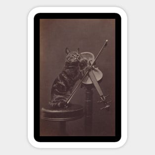 Cat on a Stool Playing a Violin Sticker